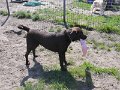 afb_20160502 (74)